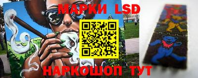стаф Тара